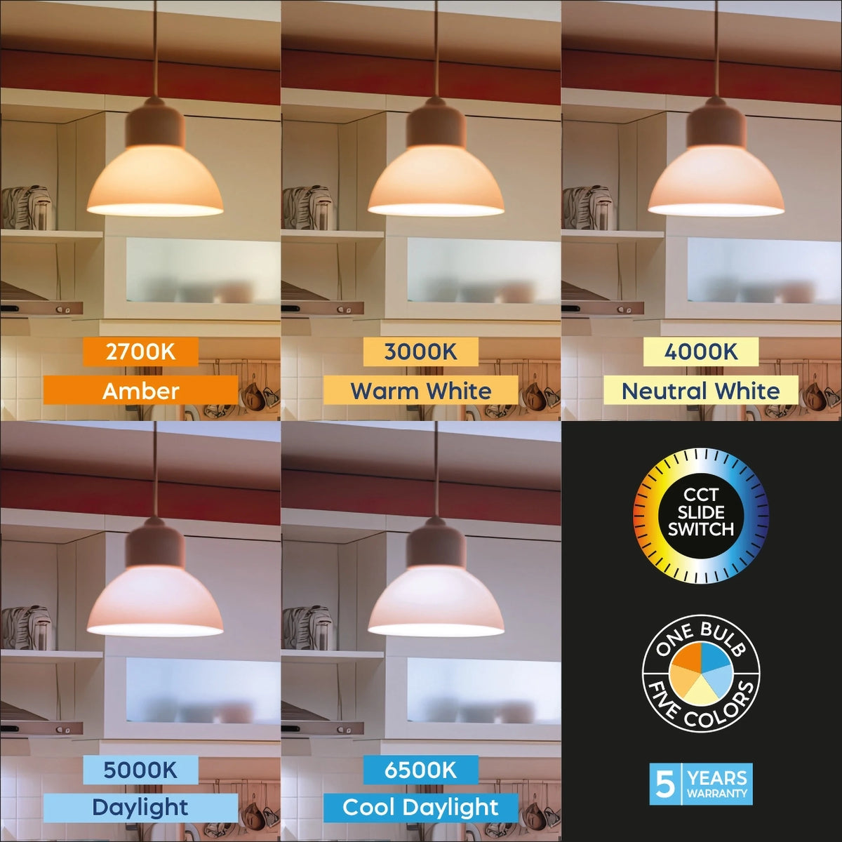 Braytron Premium LED Lamp E27 10,5W A60 5IN1