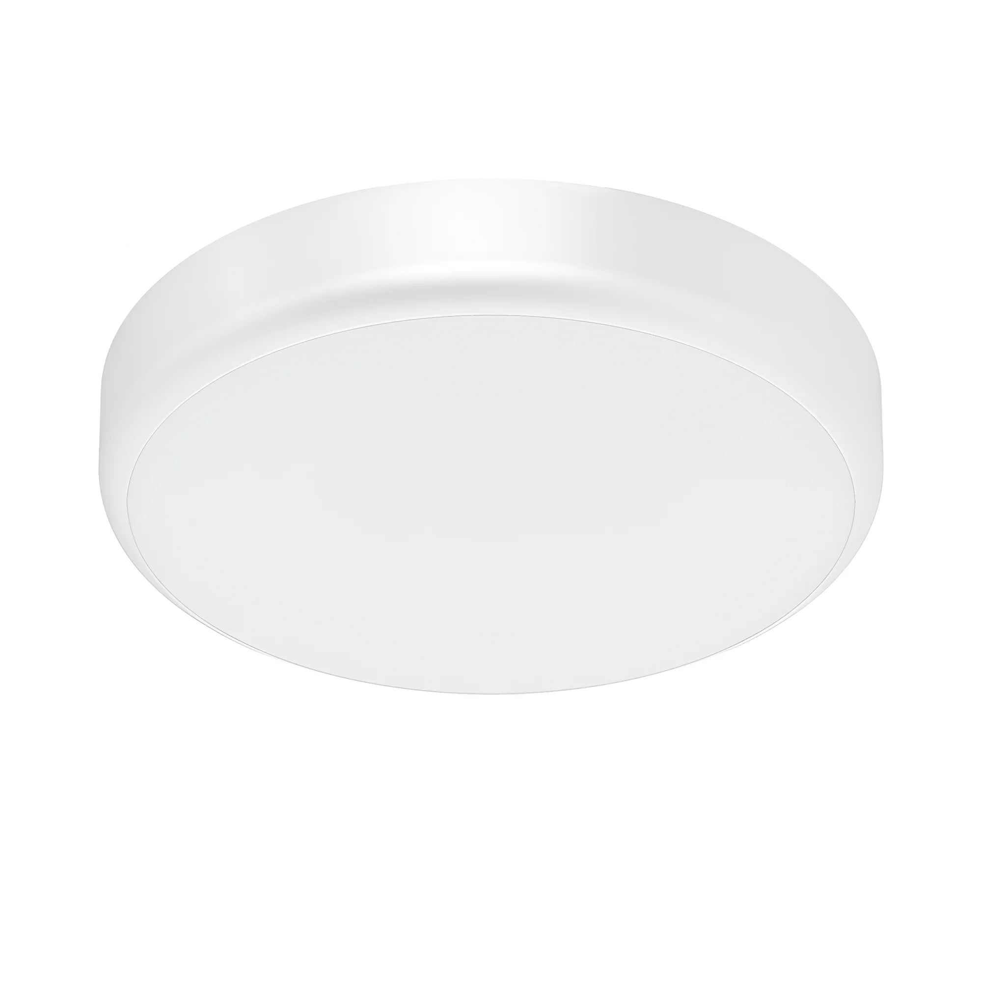 Braytron Grande Plafondlamp 20W IP65 RND 5IN1 SNS