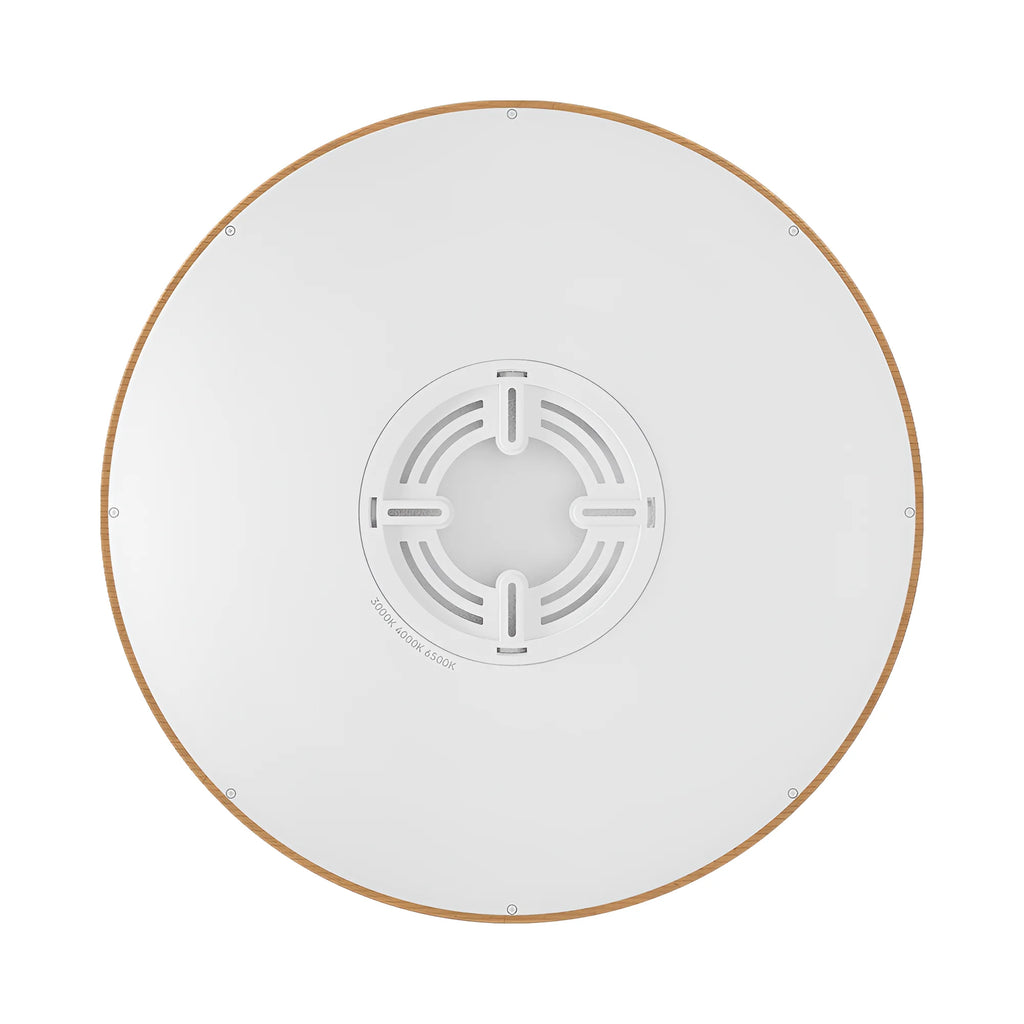 Braytron Jade Plafondlamp 36W SLR WDN RND 3IN1