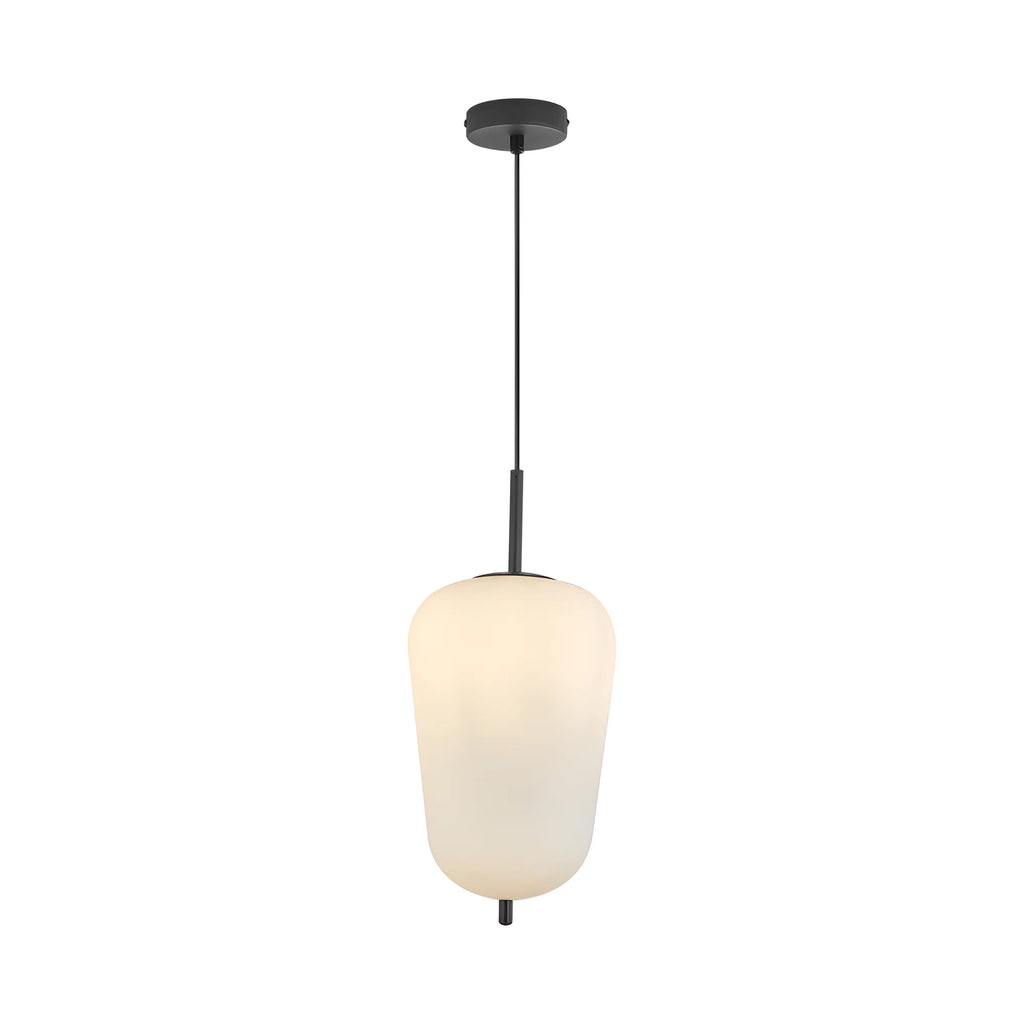 Braytron S011R Hanglamp Zwart 1H 1xE27 OPL