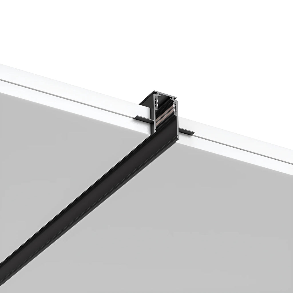 Braytron M20A Magneetrail-armatuur 48VDC Zwart TR01 1M