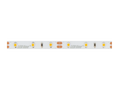 LED strip 300/5m SMD 12V BLUE 4.8W IP20 8mm 5m PRIME